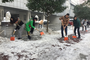 财鑫志愿者扫雪除冰保畅通