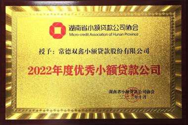 2022年度优秀小额贷款公司—常德双鑫小额贷款股份有限公司