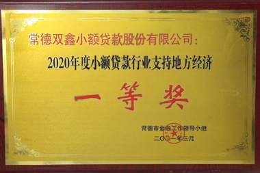 2020年度融资担保行业支持地方经济一等奖—常德双鑫小额贷款股份有限公司