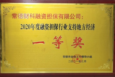 2020年度融资担保行业支持地方经济一等奖—常德财科融资担保有限公司