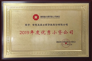 2019年度优秀小额贷款公司—常德双鑫小额贷款股份有限公司