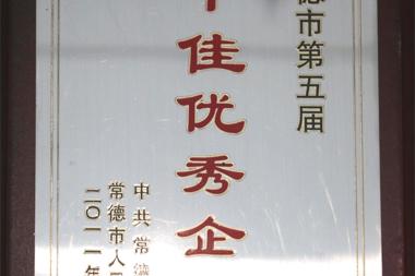 2011年常德市第五届十佳优秀企业