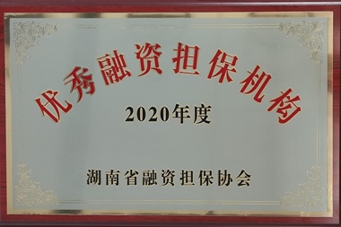 2020年度优秀融资担保机构