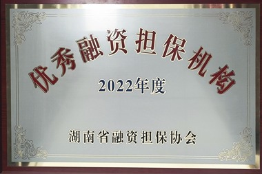 2022年度优秀融资担保机构