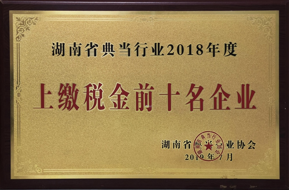 湖南省典当行业2018年度上缴税金前十名企业